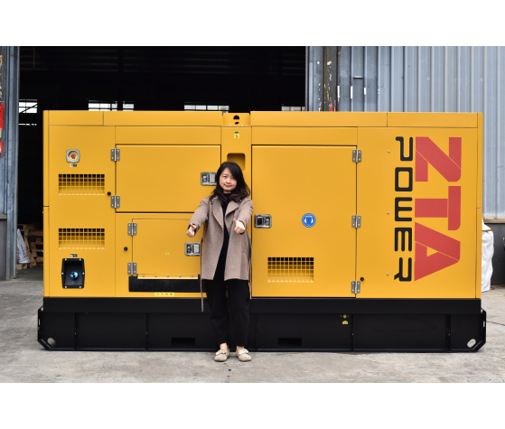 Grupo gerador a diesel ZTA Power SDEC de 250 kVA