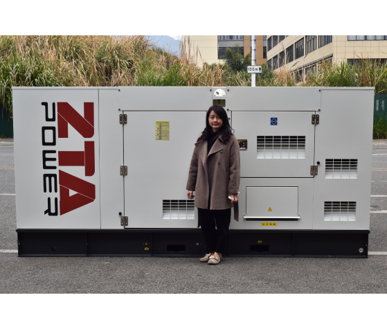 ZTA POWER 250KVA Cummins Diesel Genset